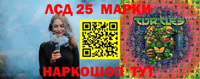 гидра Будённовск