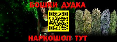 гидра Будённовск