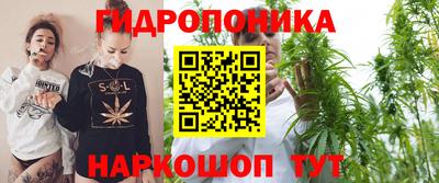 гидра Будённовск