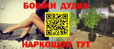 гидра Будённовск