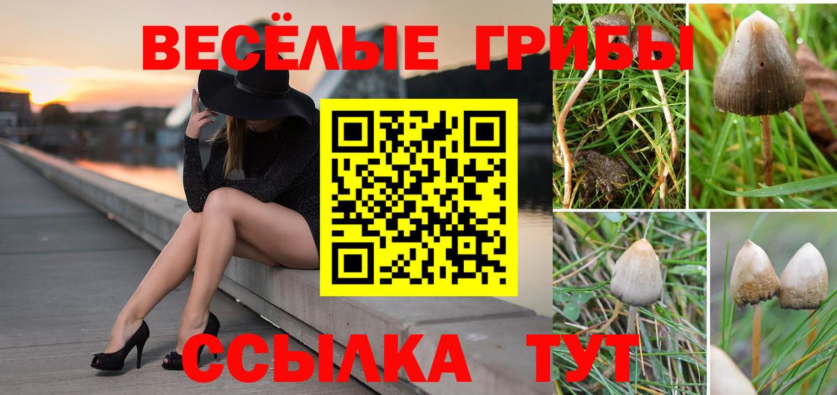 Галлюциногенные грибы ЛСД  Вход с VPN  Ялта 
